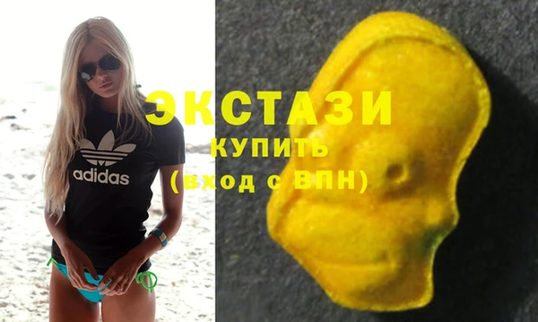 сатива Кулебаки