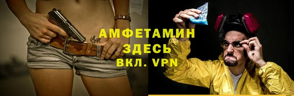 сатива Кулебаки