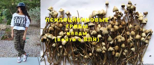 эйфоретик Лабытнанги