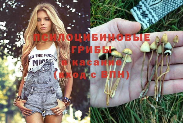 гашиш Ладушкин