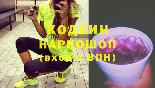 сатива Кулебаки