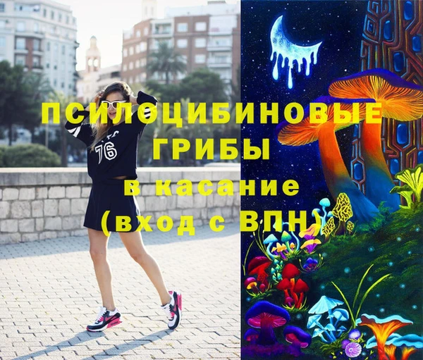 соль ск Лагань