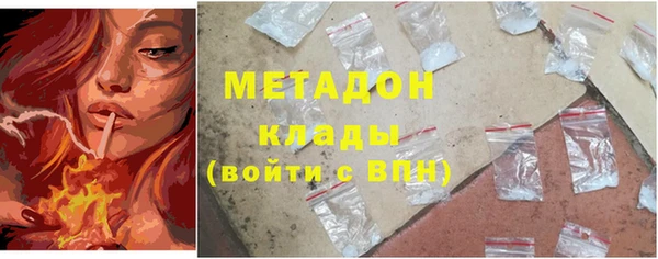 сатива Кулебаки